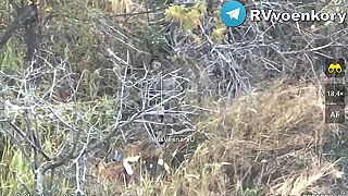 Ruský dron zachytil posledné chvíle ukrajinského vojaka (CITLIVÉ ZÁBERY)
