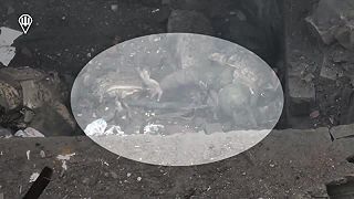 Okupant sa dobrovoľne rozhodol
