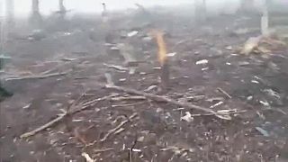 Ivani si prišli pozrieť svoju čoskorú budúcnosť