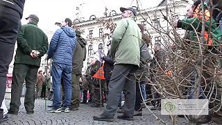 Neštátni vlastníci lesov: dúfame, že vojna medzi ministerstvami sa skončila