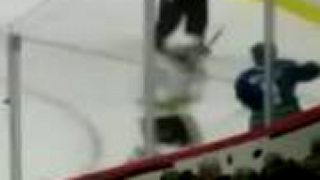 Boston Bruins