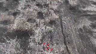 7 000 okupantov získalo priepustku za posledný týždeň