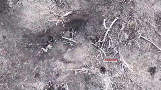 Teamkill