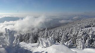 Skalisko 1293 m.n.m (Vrch Volovec)