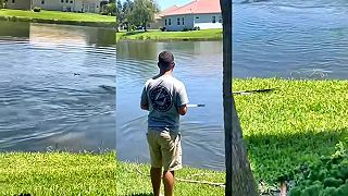 Trollovanie aligátora pomocou loďky na diaľkové ovládanie (Florida)