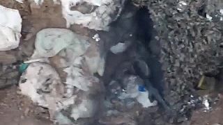 Zvedavý okupant skontroloval kto mu klope na strechu apartmánu