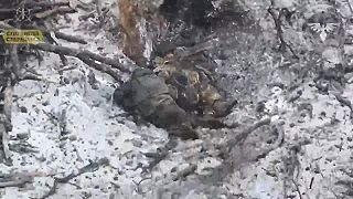 Okupanti dostali vianočnú priepustku