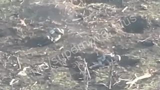 Okupant zhodnotil svoje možnosti