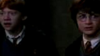 Harry Potter parodia - Dano Drevo 2