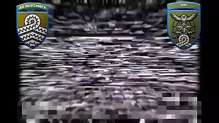 Invázny druh v kanáloch