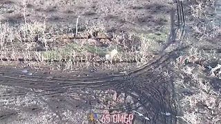 Mínometný granát preriedil okupantov v zákope
