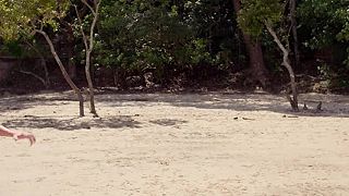 Záhady Rock Islandu,S01E10