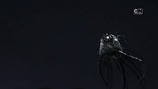 Ninjago,S11E26