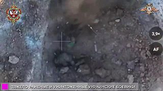 Skupina ukro "vojakov" tesne pred smrťou.
