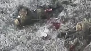 Evakuácia raneného ukrajinského "vojaka" nedopadla dobre. 18+ (jatka)