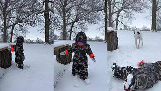 Keď si pojašený pes užíva sneh, deti by mali spozornieť