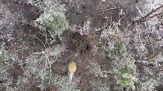 Kadyrovcov si podalo niekoľko dronov