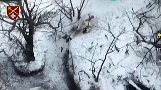 Okupanti sa schovali medzi stromami