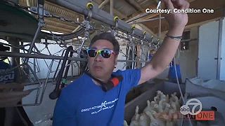 Liberalizmus vedie k ohlupovaniu jedinca ktorí potom skončí aj takto,,