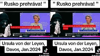 Tik tok a jeho tajomstvá,, Davos a Danny Kollar
