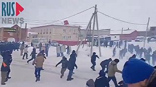 Jedna z kolónii
