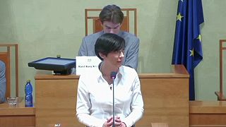 Dilina z české sněmovny.