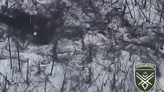 Záchranná operácia s pomocou dronu