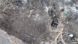Trestanecké jednotky okupantov likvidované 81. brigádov