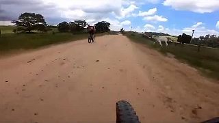 Bola to skoro "normálna" jazda na bicykloch