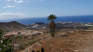 Výhľad z Jungle Parku na Los Cristianos Tenerife