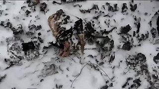 18+ Miesto zostrelu dopravného lietadla RF