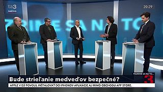 Huliak vs Kiča. Diskusia o medveďoch
