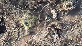 Prechod štyroch ukrajincov do pekla