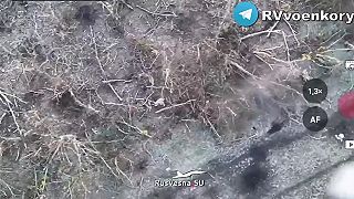 Rusi precvičujú ukrajincov v behu