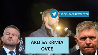 Ako sa kŕmia ovce