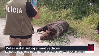Peter súboj s medveďom ustál, no čelil trestnému stíhaniu