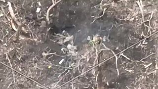 Ukrajinci v mlynčeku na mäso. 4