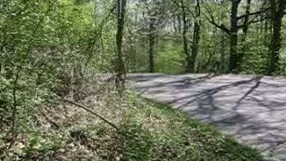 Rally Matador 5