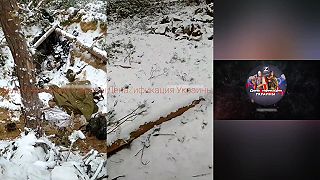 Kremennajské lesy sú denne osiate 20-50 chýbajúcimi ukrajinskými "vojakmi" 18+