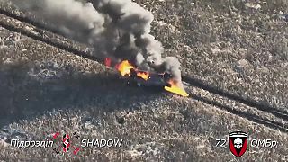 Kuriózny masaker okupantov pri Novomikhaylivke