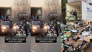 Vyprázdňovanie prívesov z rôznym typom zeleniny