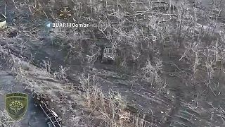 Avdiivka #118 Každodenná rutina