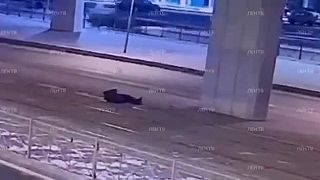 Rus potreboval odvoz na ďalšiu zástavku