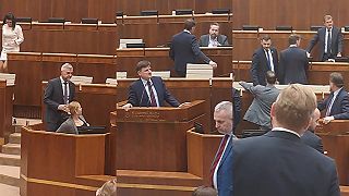 Dnes bolo v parlamente veselo,Konflikt videný z plena