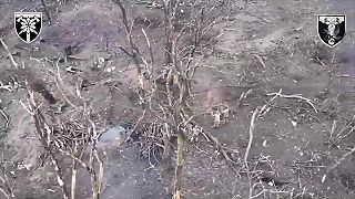 Poslední okupanti čo prežili sa vzdali