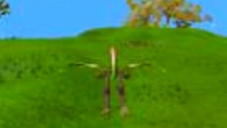 Spore