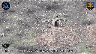 Útok na Robotyne sa nepodaril a tak sa okupanti radšej vzdali