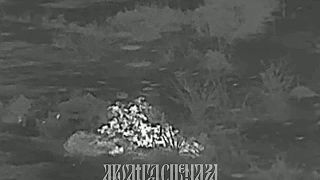Zničenie DRG ukrajinských ozbrojených síl v smere Kupjansk.