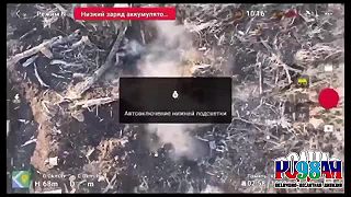 Zľutovanie nad ukrajincami 18+