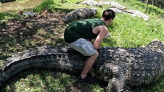 Henry je najstarší krokodíl nílsky na svete, má 120 rokov, 5 metrov a váži tonu!